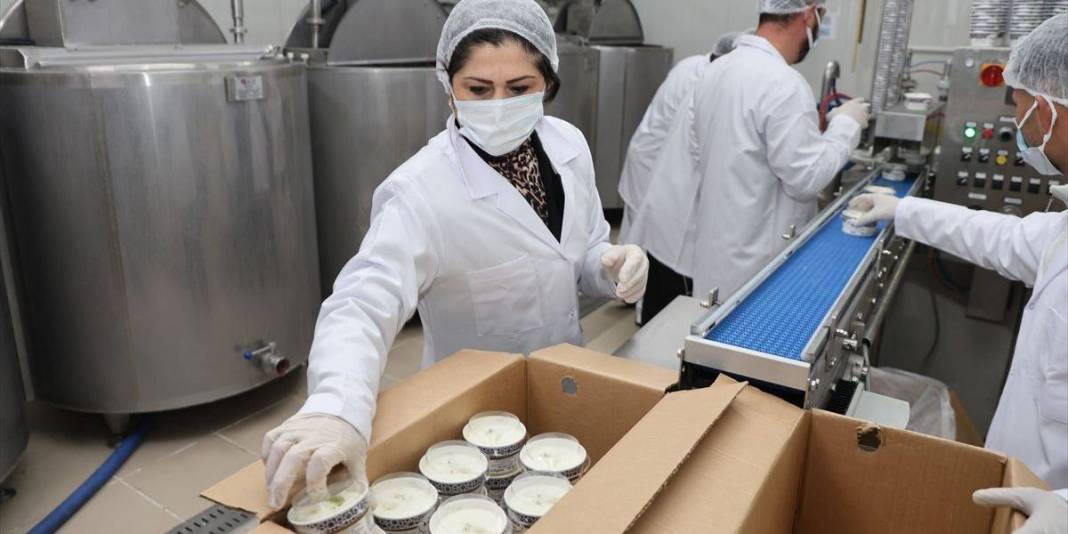 Pazarlamacı olarak başladı 17 yıl sonra tesisini kurdu: Yılda 700 ton üretim yapıyor 4